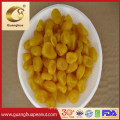 Wholesale Dried Kumquat with Sugar Preserved Kumquat